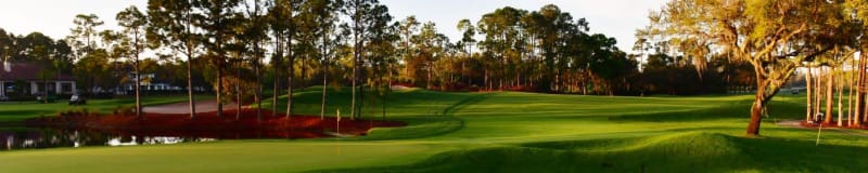 Hilton Grand Vacations Tournament of Champions