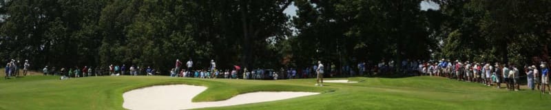 FedEx St. Jude Championship