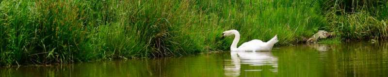 Tipsport Czech Ladies Open