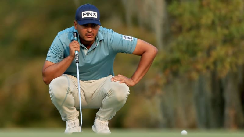 Sonniges Wetter und ein Alliga...