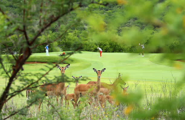Moving Day in Südafrika mit ti...