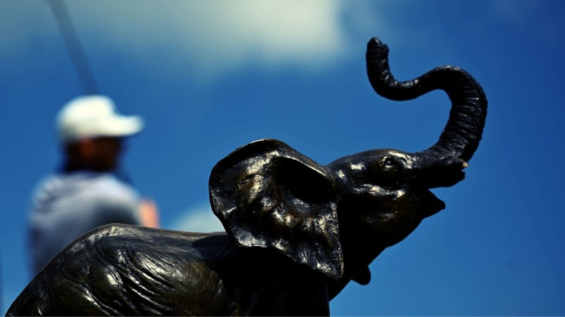 Das Finale der Kenya Savannah...