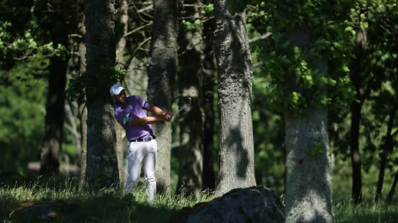 Scandinavian Mixed: Ein strahl...