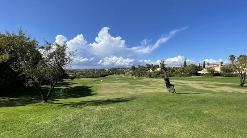 252 Löcher Golf an 14 Tagen –...