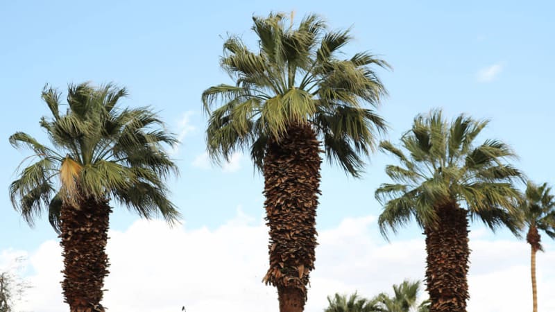 Good weather for an exciting second round on the PGA Tour