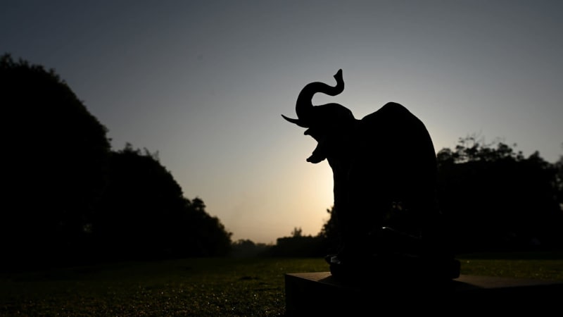 Magical Kenya Open - The best pictures from the Moving Day