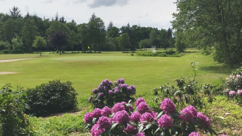 Golfregion Hamburg: Die besten...