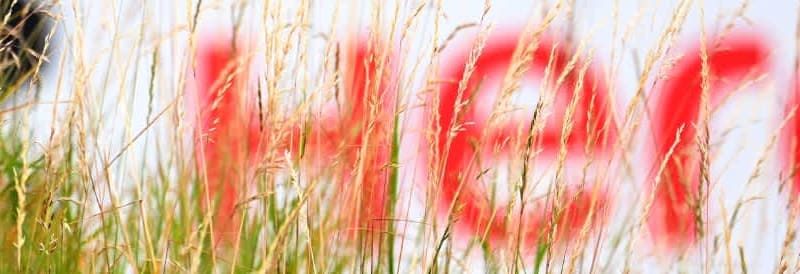 European Tour: Jonathan Thomson at T13 at the Hero Open after the first round