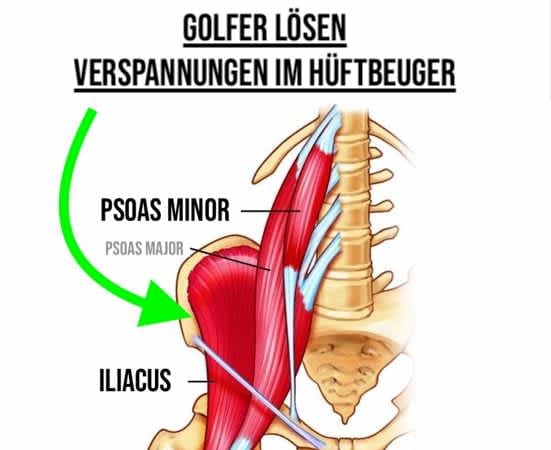 [NEU] Golf Fitness Workout für...