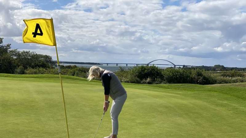 Willkommen im echten harten No...