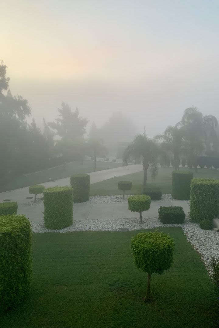 Blick aus dem Zimmer im Hotel La Finca Golf und Spa Resort.