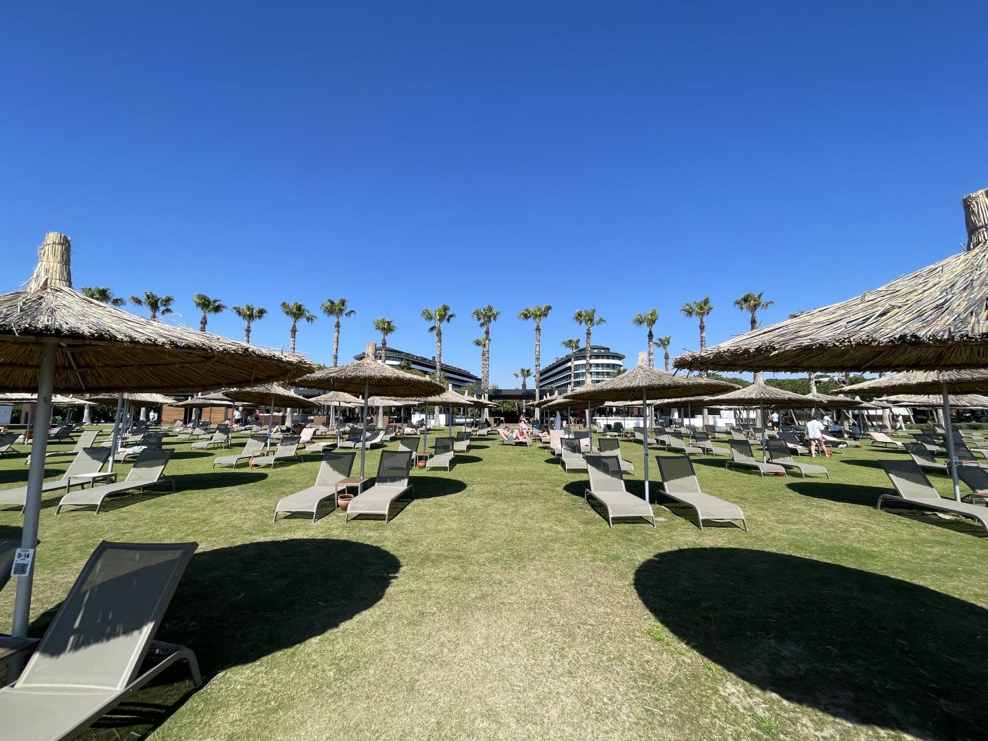 Garten des Hotels
