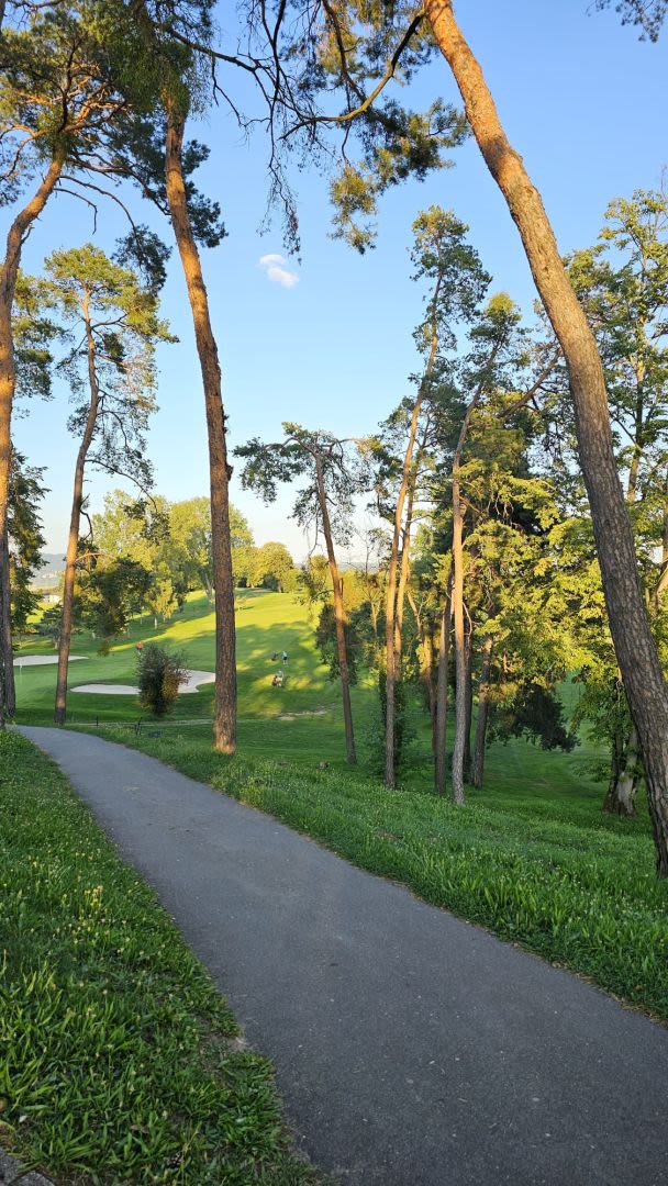 Aussicht auf die hinteren 9Loch #Eccodays #Waldschatten&nbsp;