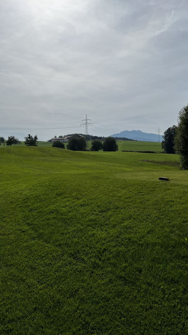 Der Blick auf die Alpen 