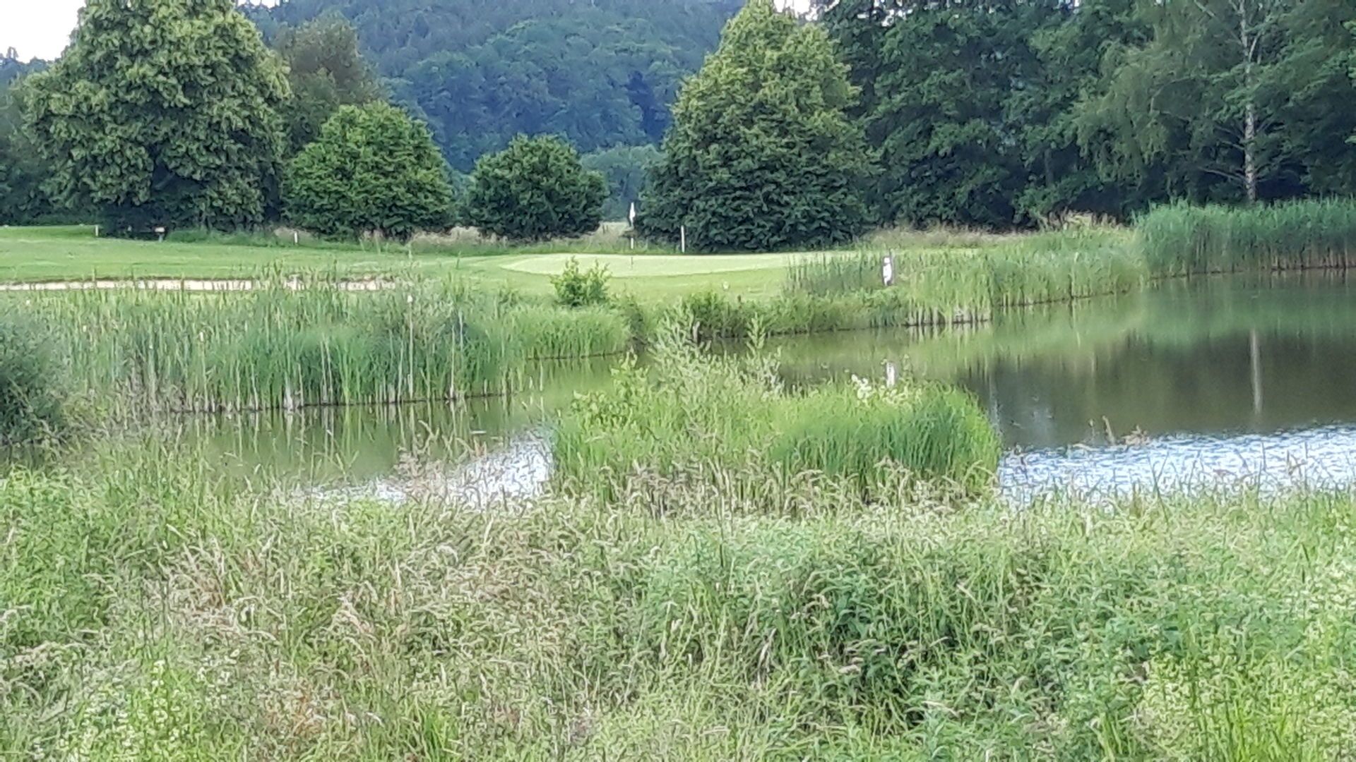 Ein Par 3 wie ich es liebe - optisch toll und mit 139m von Gelb eine passende Länge