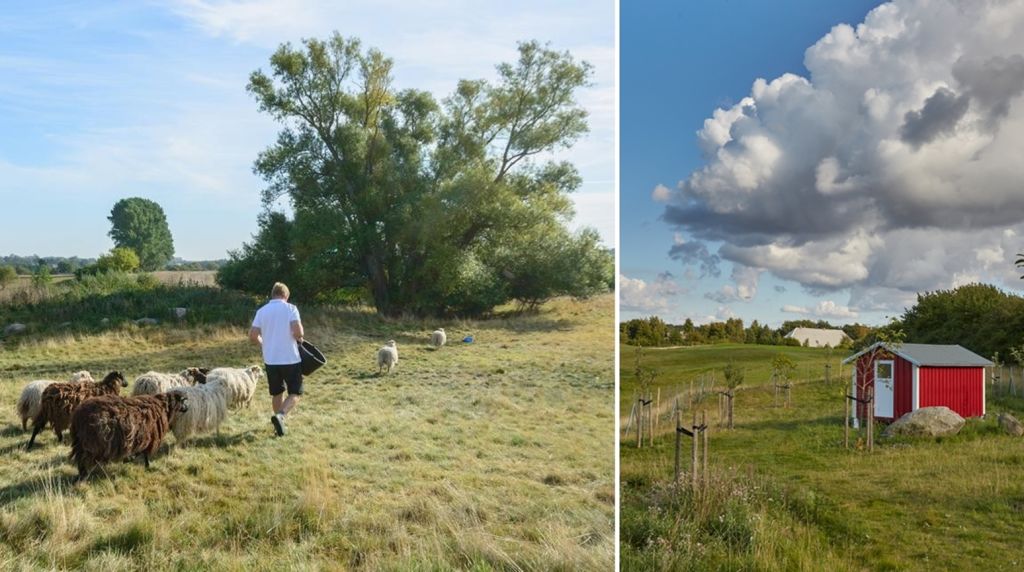 Natur und Umweltschutz werden in Wittenbeck groß geschrieben. (Foto: Ostsee Golf Resort Wittenbeck)