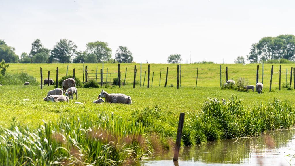 Der spielenswerte Golfplatz grenzt direkt an den Fluss Amstel und seine schöne Uferlandschaft. (Foto: Golfcentrum Amsteldijk)