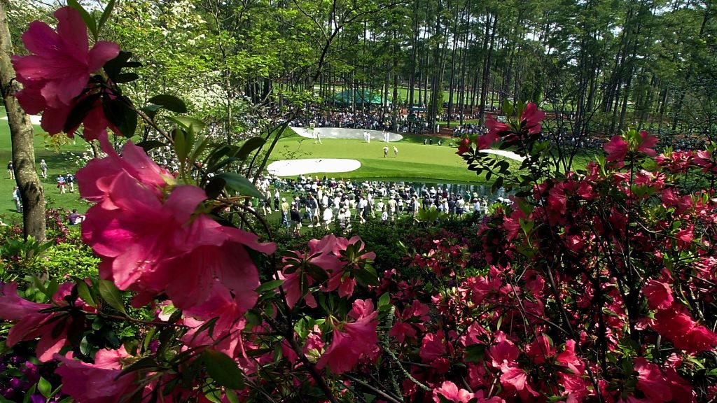 Azaleen, in Deutschland als Rhododendren bekannt, sind wunderschön aber giftig. (Foto: Getty)