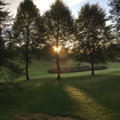 Angela Siebzehnrübl