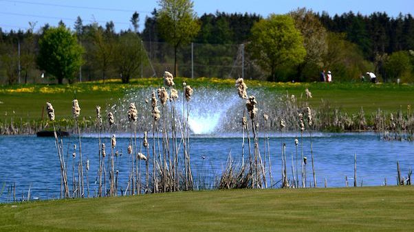 Golfplatz in Kirchstockach