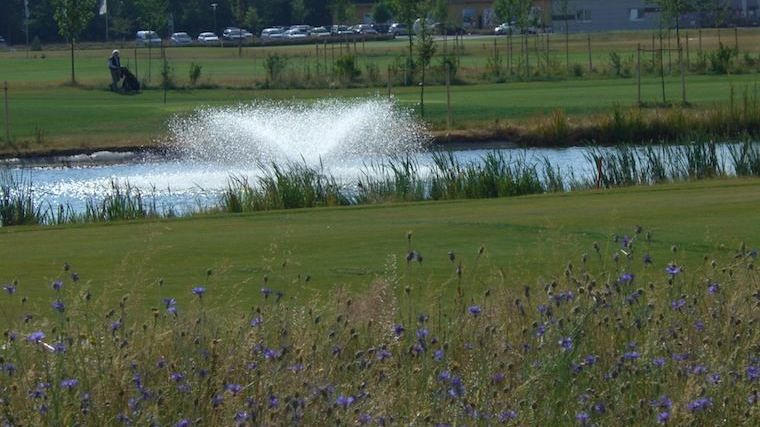 Golfplatz in Germering
