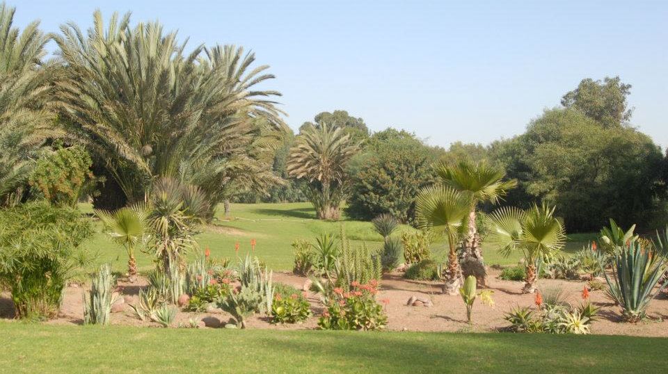 Royal Golf Club Agadir