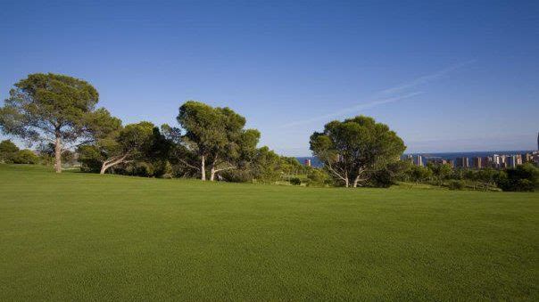 Sierra Cortina Pitch & Putt