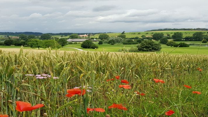 Golfpark Moossee Golfclub Bern