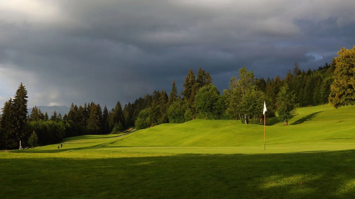 Schicke neue Headcovers im Gol...