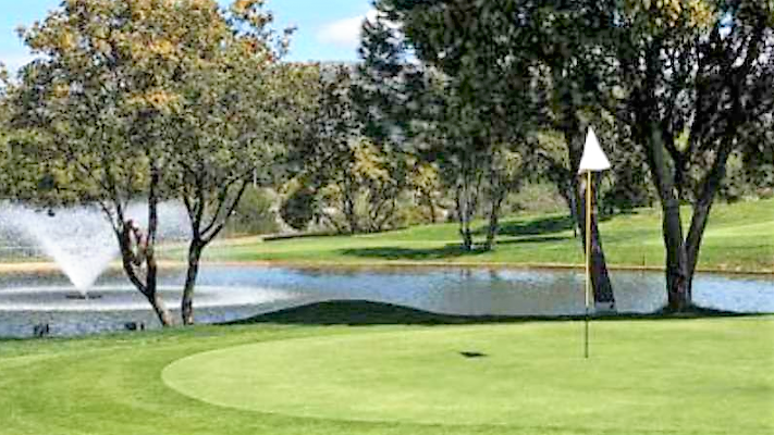 Green Paddock