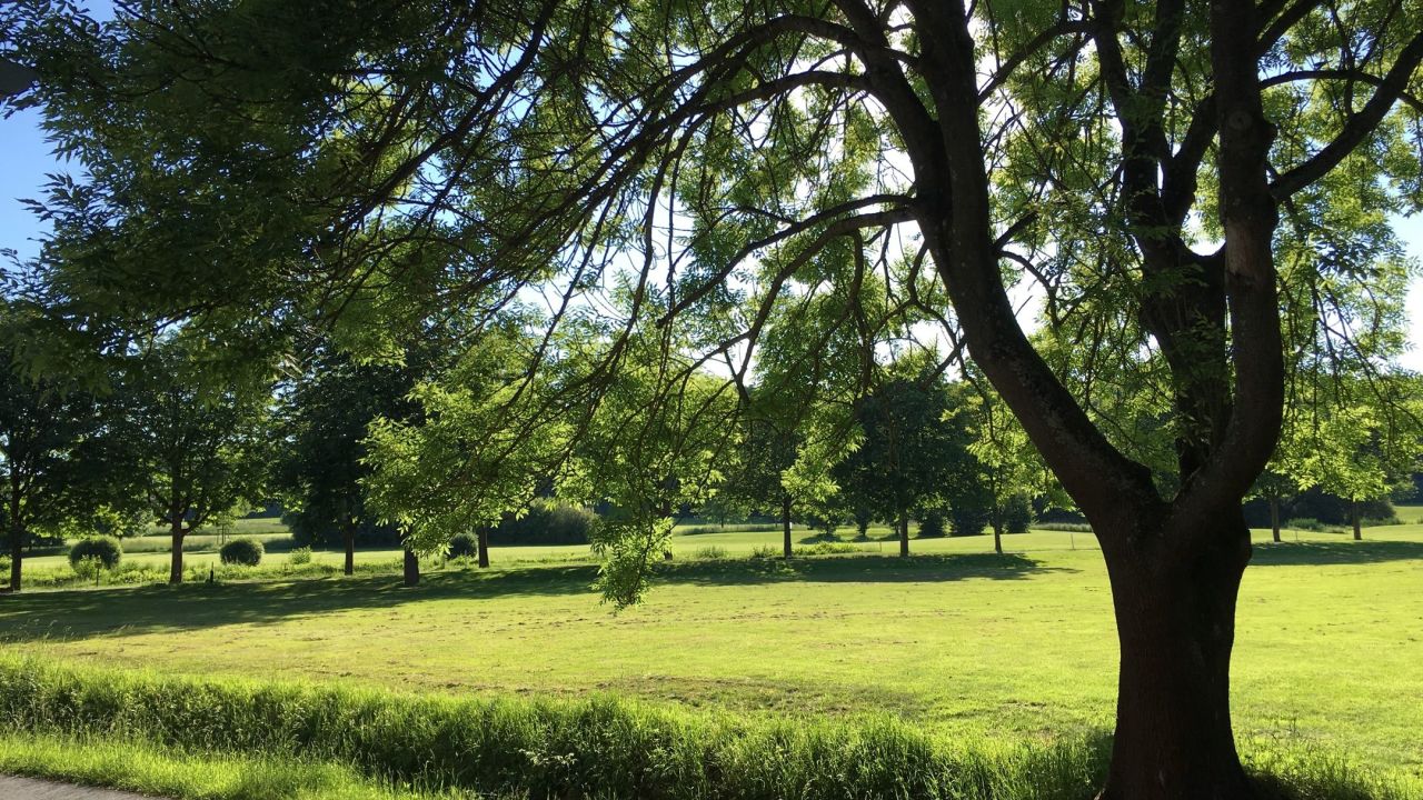GC Hof Hausen vor der Sonne