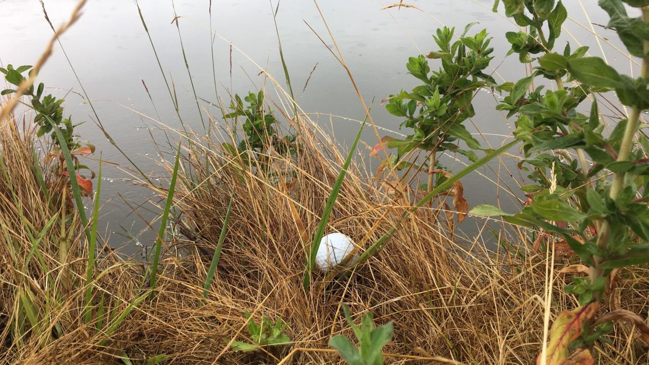 GolfCity Köln Pulheim