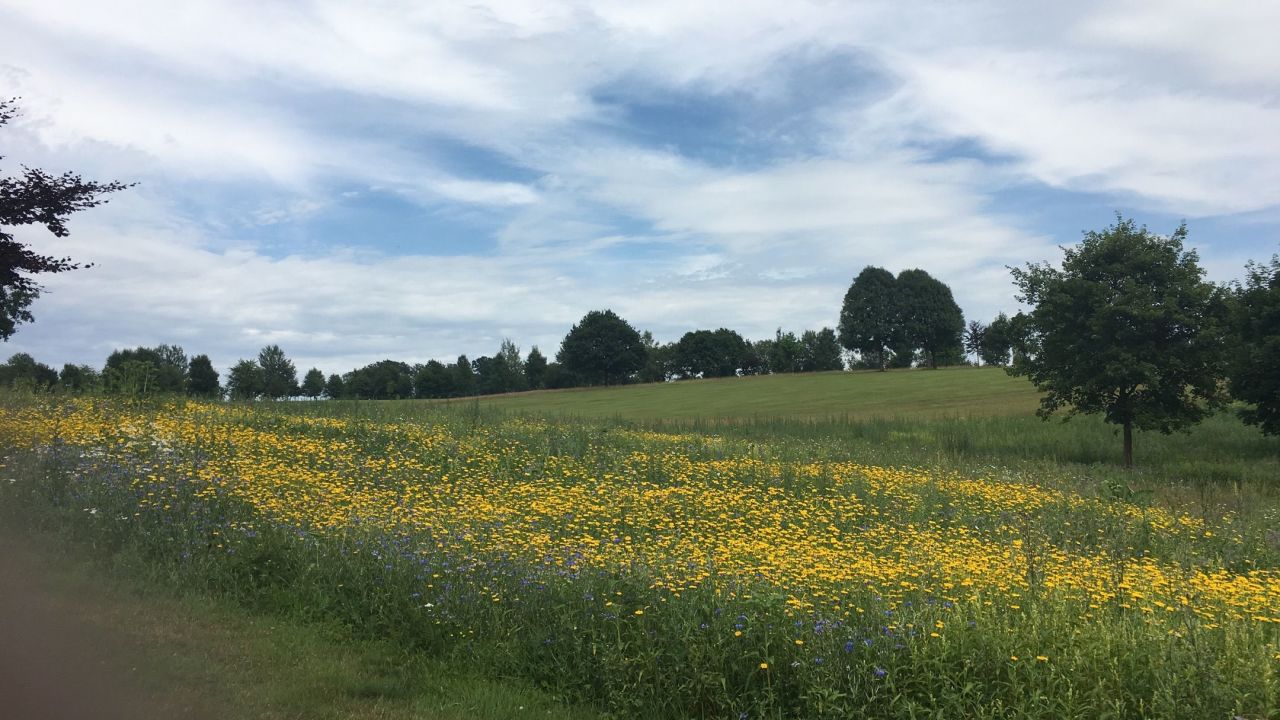 Golf Club Burg Overbach