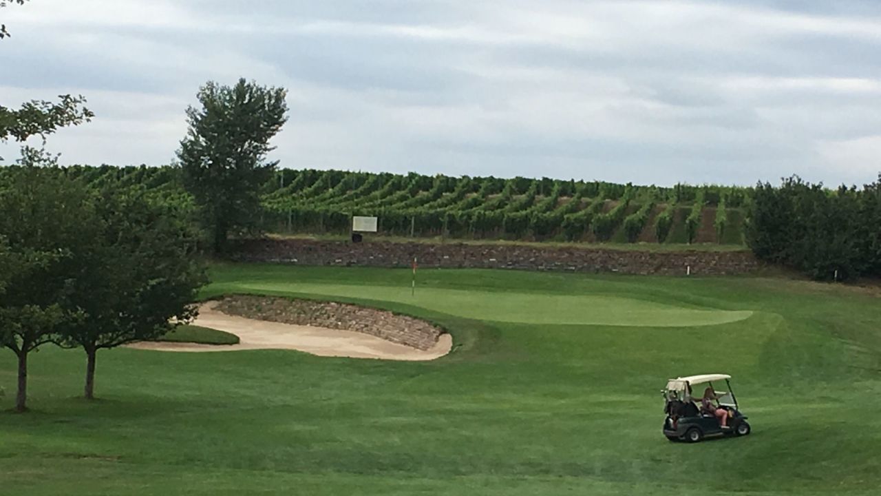 Golfgarten Deutsche Weinstraße