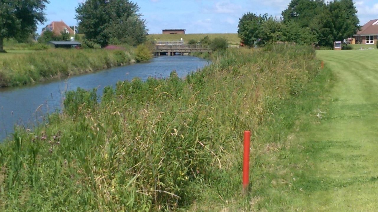 GC Büsum Dithmarschen