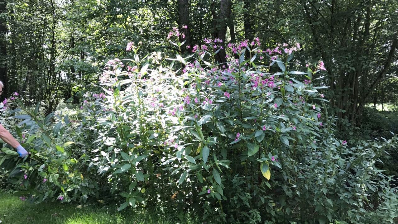 Westfälischer GC Gütersloh