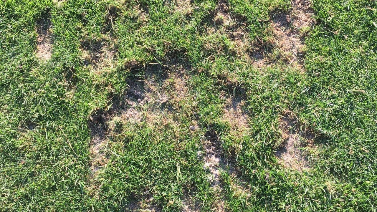 GolfCity Köln Pulheim