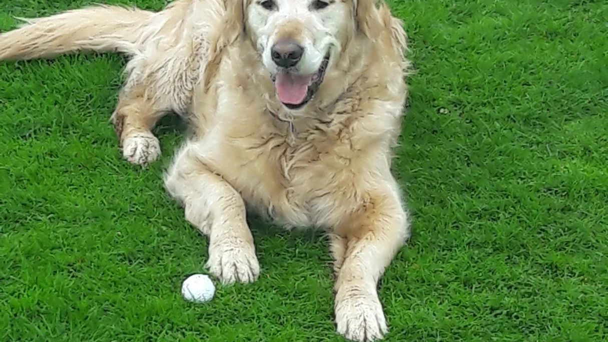 GC Lauterbach e. V. Schloss Sickendorf