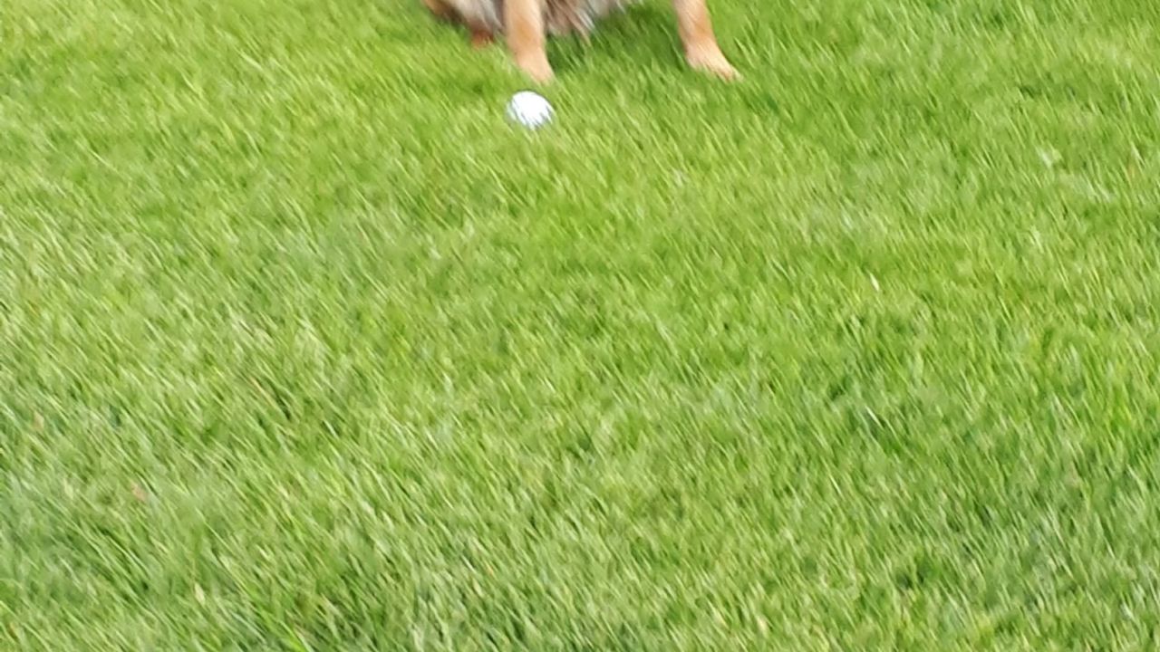 Ostsee Golf Resort Wittenbeck