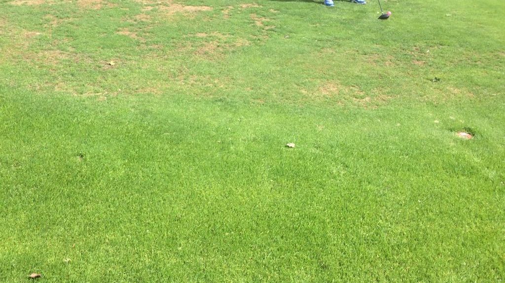 Golf Resort Bad Griesbach, Golfplatz Lederbach