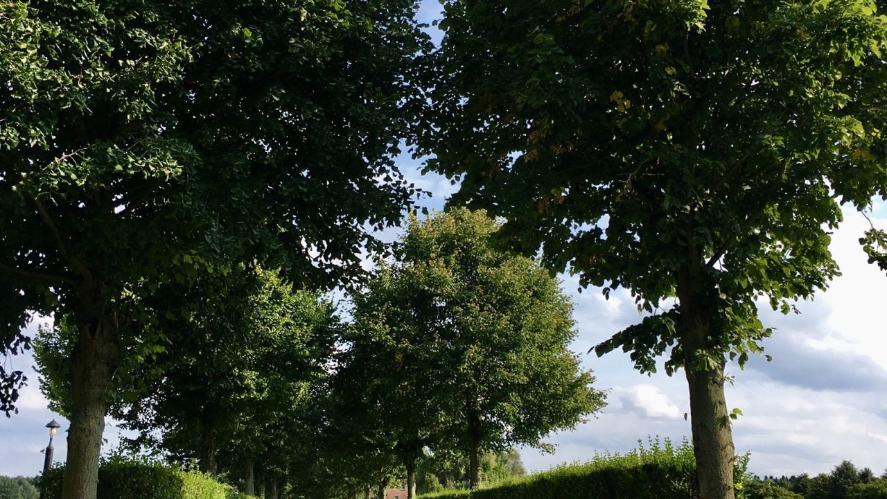 Golfanlage Römerhof