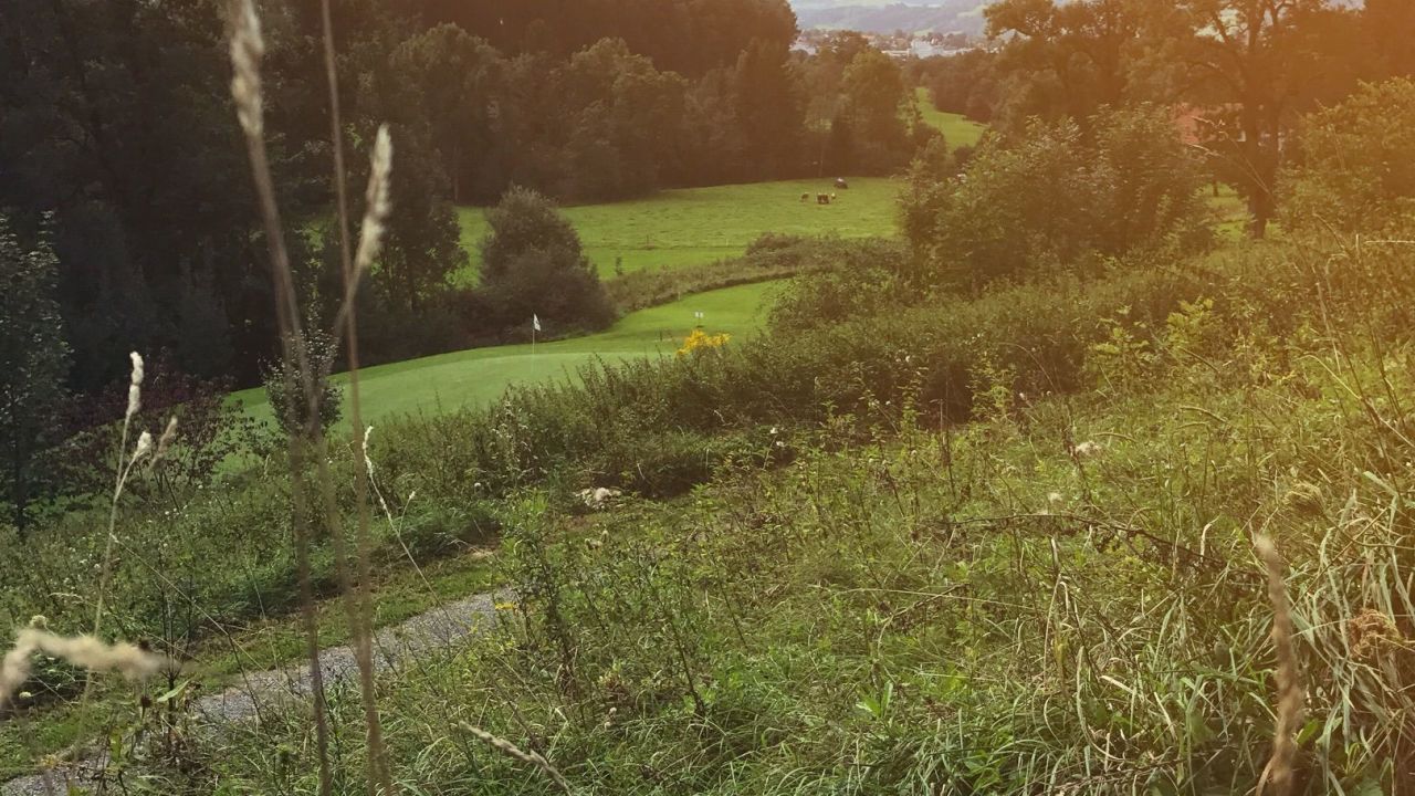 Golfpark Schloßgut Lenzfried