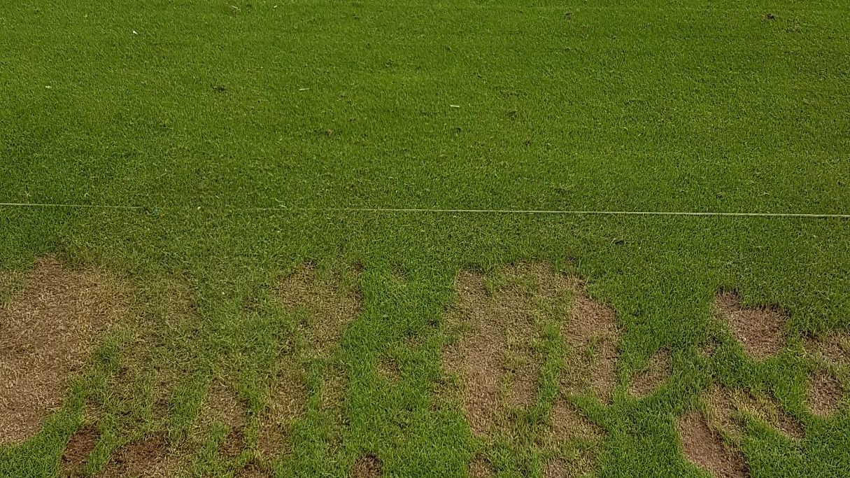 Münchener GC Straßlach