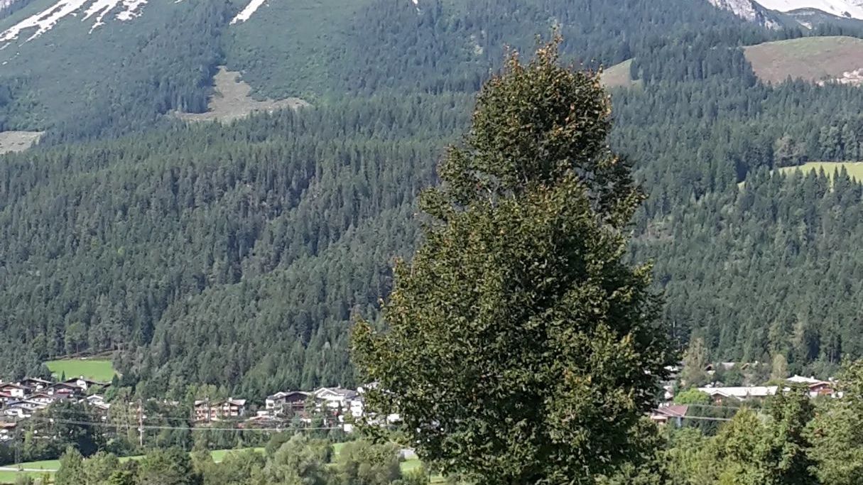 GC Wilder Kaiser Ellmau