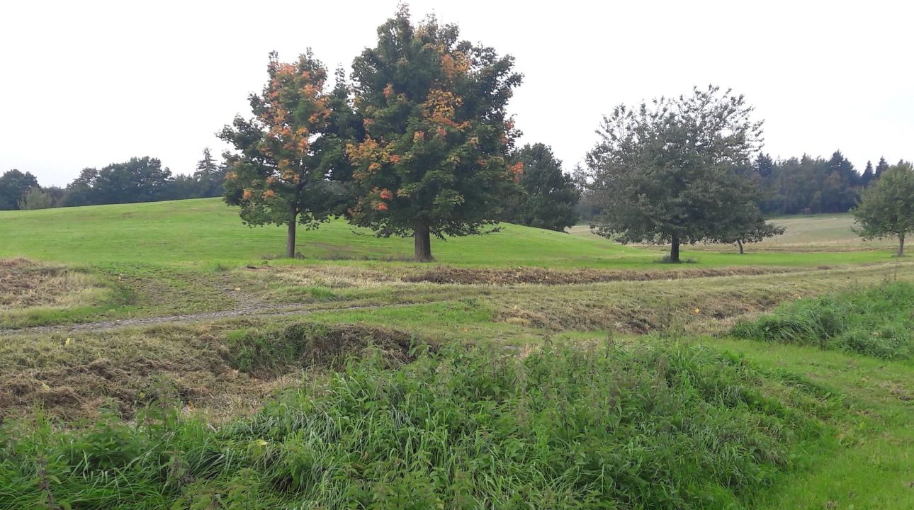 GC Lauterbach e. V. Schloss Sickendorf