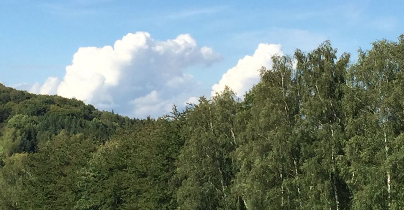 GolfResort Hardenberg