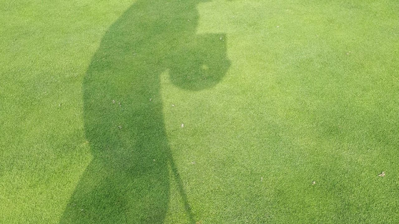 GC Donauwörth Gut Lederstatt