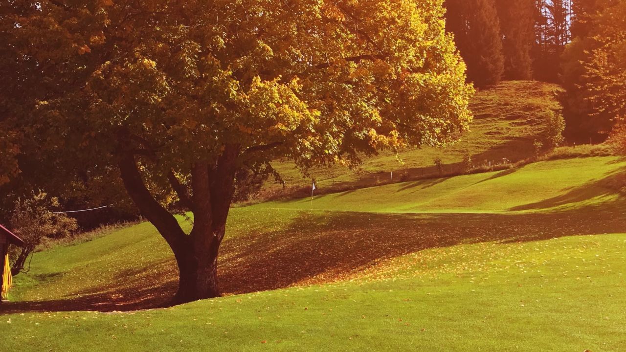 GC Oberstaufen-Steibis