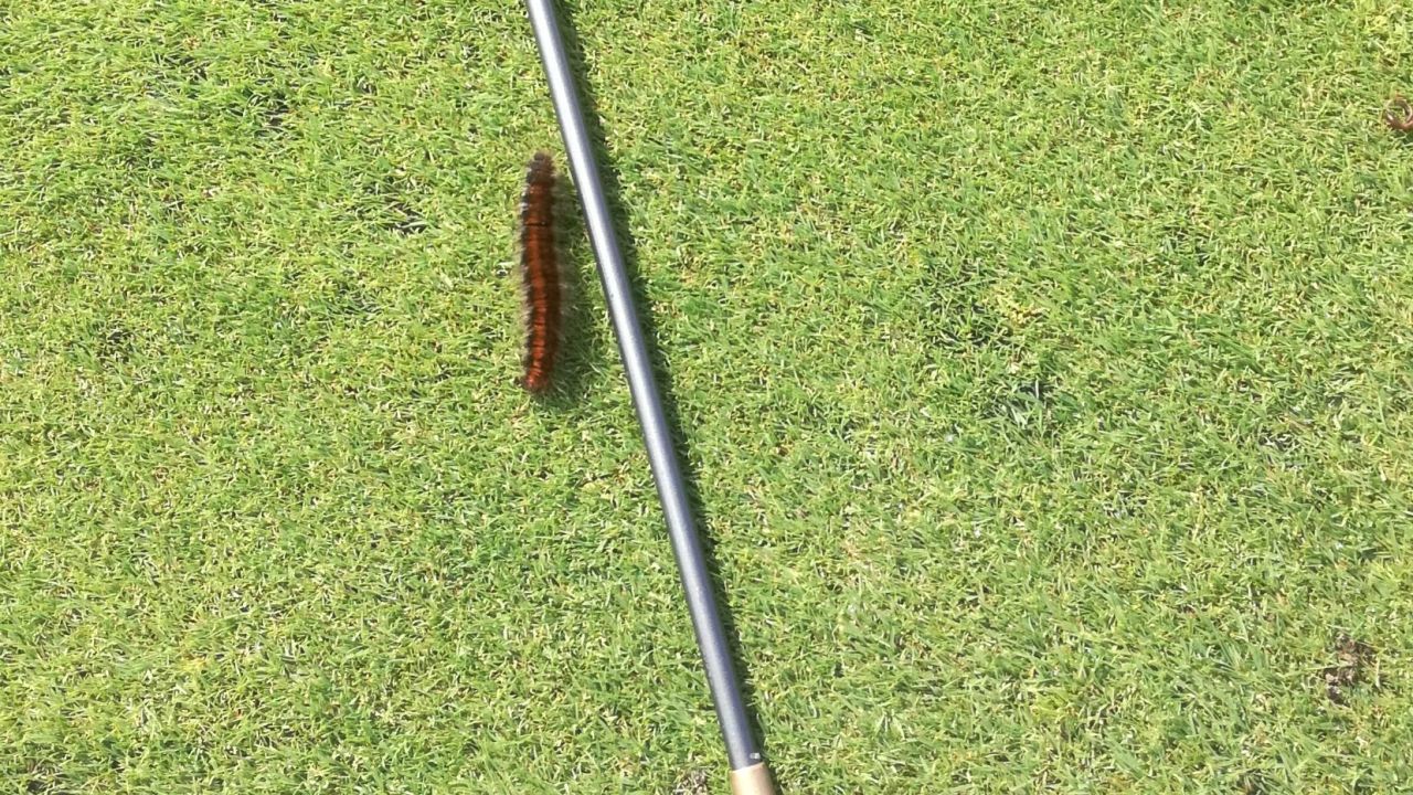 Golfclub Neulengbach