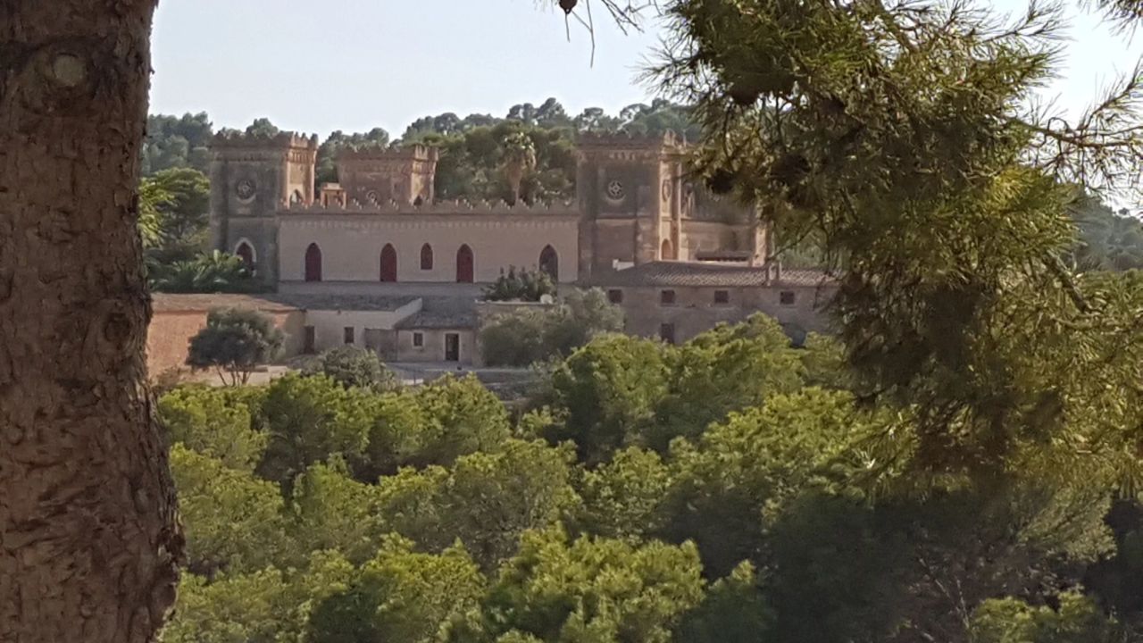 Real Golf de Bendinat